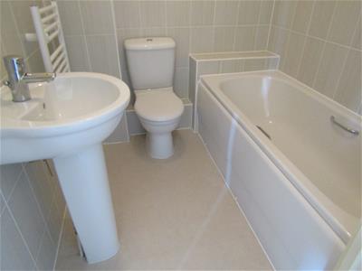 Picture 13